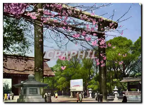 Cartes postales moderne Yasukuni shrine The famous places in Tokyo