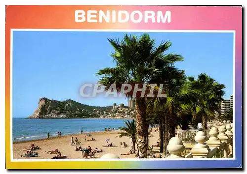 Cartes postales moderne Benidorm Espana Playa de Poniente