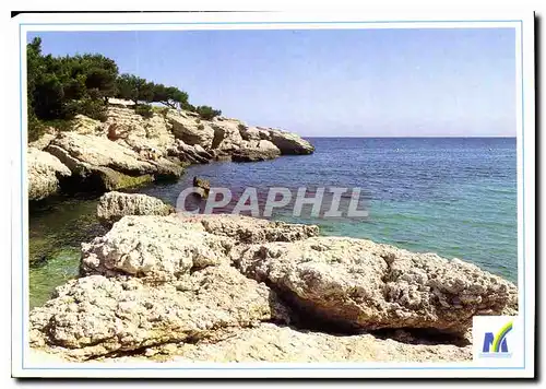 Cartes postales moderne Martigues Ville nature