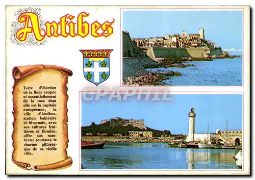 Cartes postales moderne Au soleil de la Cote d'Azur Antibes le Fort Carre la vieille ville