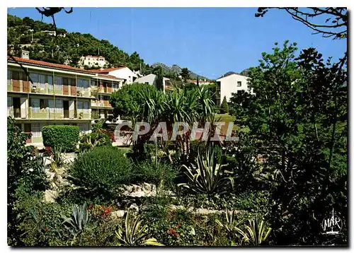 Cartes postales moderne Vacances Cote d'Azur Roquebrune Cap Martin le Jardin Exotique