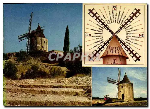 Cartes postales moderne Fonrvieille Le Moulin de Daudet et les 32 vents de Provence