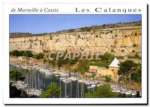 Cartes postales moderne Les Calanques Port Miou