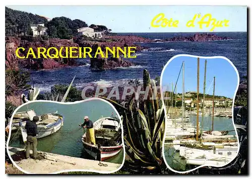 Cartes postales moderne Carqueiranne vue du port de plaisance Pecheurs