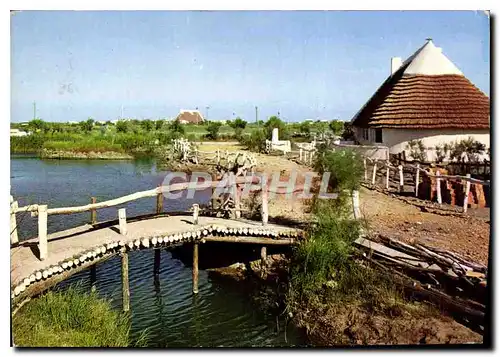 Moderne Karte Camargue Lumieres et Tradition Pont de bois sur une roubine