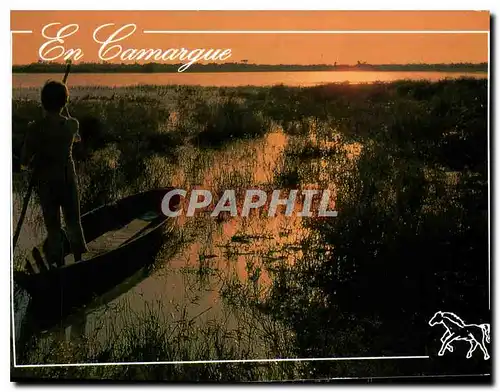 Cartes postales moderne En Camargue l'Etang de Vaccares