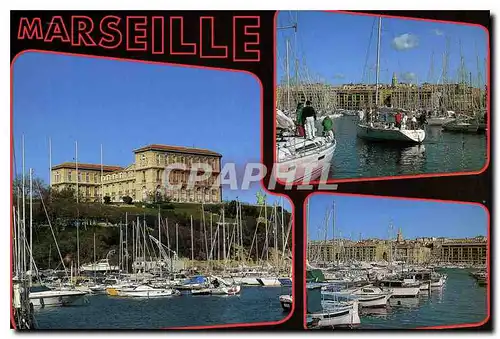 Cartes postales moderne Marseille Le Port et le Palais du Pharo