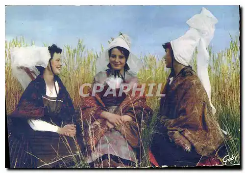 Cartes postales moderne Folklore de France La Normandie Coiffes et costumes de la Plaine de Caen des Pays d'Auge et de C