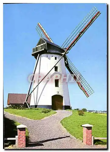Cartes postales moderne Moulin en Flandre