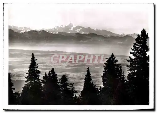 Cartes postales moderne Le Mont Blanc et la Plaine vus du Chasseron