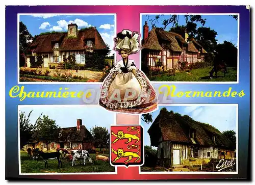 Cartes postales moderne Chaumieres Normandes