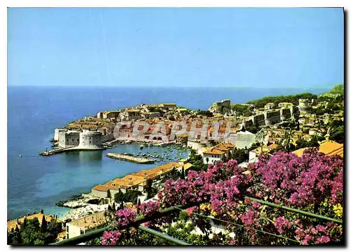 Cartes postales moderne Dubrovnik panorama