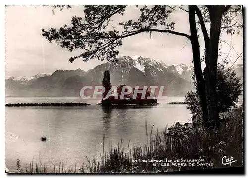 Cartes postales moderne Lac Leman Ile de Salagnon et les Alpes de Savoie