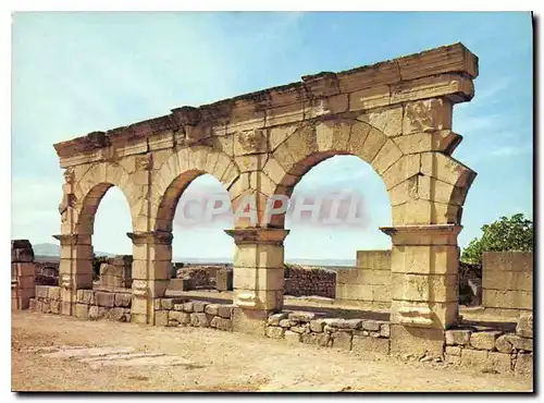 Cartes postales moderne Volubilis Les Arcades