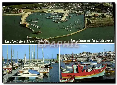 Cartes postales moderne La Vendee Touristique Ile de Noirmoutier