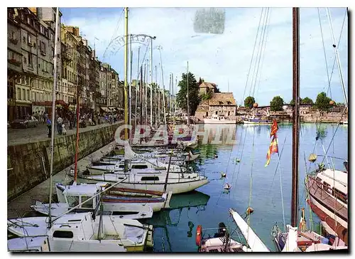 Cartes postales moderne La Cote Flerie Honfleur Calvados le port de plaisance le quai Sainte Catherine et la lieutenance