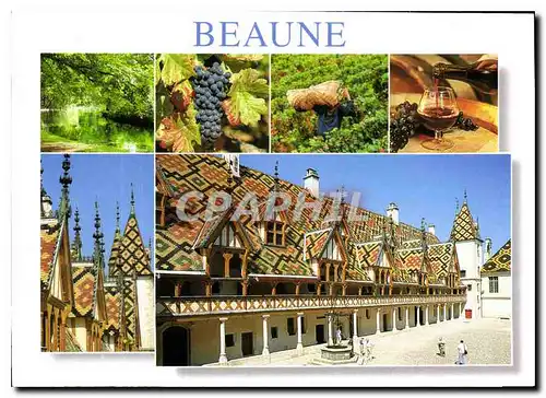 Cartes postales moderne Beaune