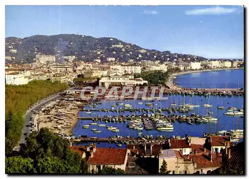 Cartes postales moderne Cannes Vue generale prise du Suquet