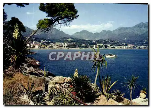 Cartes postales moderne La Cote d'Azur le Cap Martin au fond Menton