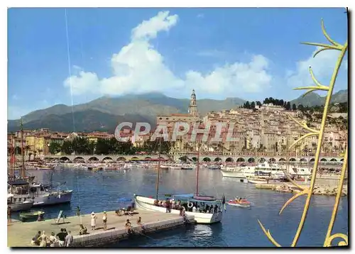 Cartes postales moderne La Cote d'Azur Menton le port