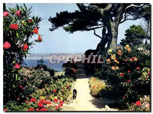 Cartes postales moderne Nice Capitale Mondiale du Tourisme Echappee sur la Baie des Anges a travers les Massifs fleuris