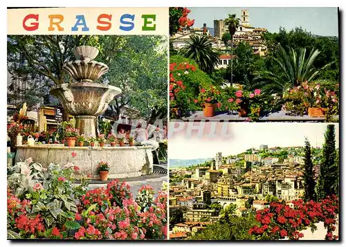 Cartes postales moderne Cote d'Azur Grasse Alpes Maritimes Cite des Fleurs Capitale des parfums