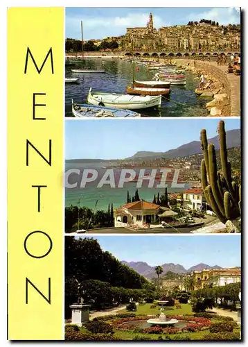 Cartes postales moderne Souvenir de Menton