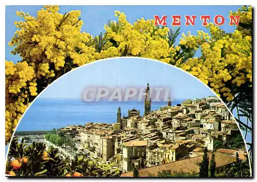 Cartes postales moderne Menton Cote d'Azur la vieille ville