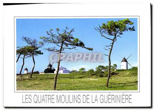 Cartes postales moderne Ile de Noirmoutier Vendee la Guerniere les 4 moulins L'Ile aux mimosas est reliee au continent p