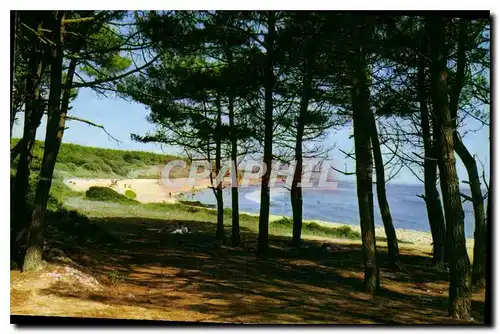 Cartes postales moderne Jard sur Mer Vendee Plage de Ragounitte