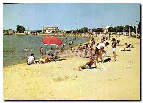 Cartes postales moderne Cote des Fleurs L'Aiguillon S/Mer Vendee la Plage