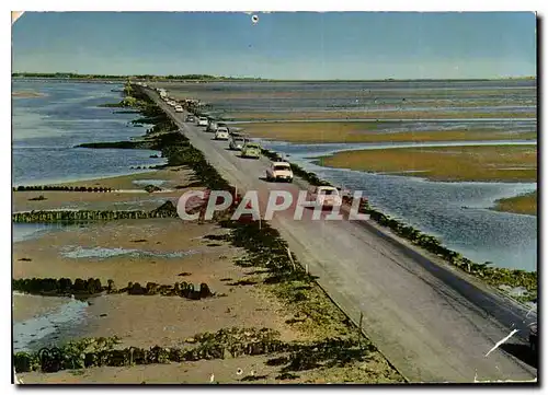 Cartes postales moderne Passage du Gois Vendee