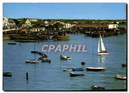 Cartes postales moderne Saint Gilles Croix de Vie Vendee le Port