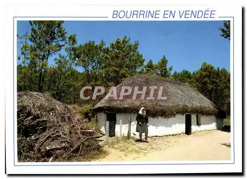 Cartes postales moderne Bourrine en Vendee