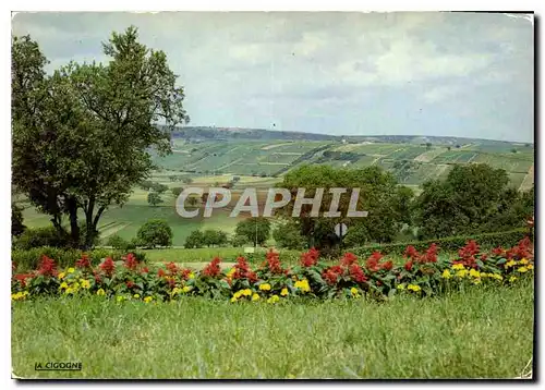 Cartes postales moderne Sancerre Cher Panorama sur les celebres vignobles