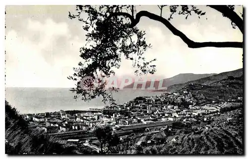 Cartes postales moderne Riviera del Fiori Ventimiglia Vue generale