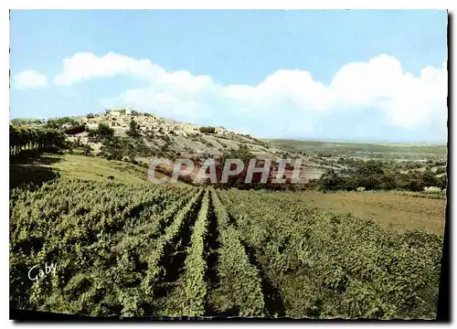 Cartes postales moderne Sancerre Cher les Vignobles et la Ville Vus de la Route de Bourges