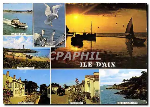 Cartes postales moderne Ile d'Aix Ch Mme