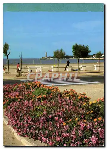 Cartes postales moderne Saint georges de Didonne Ch Mme Parterre fleuri et perspective vers le Phare et le Port