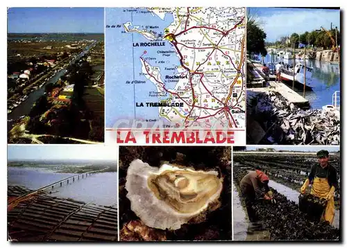 Cartes postales moderne La Tremblade Ch Mme