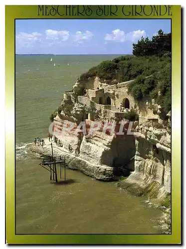 Cartes postales moderne Images de France Cote de Beaute Meschers sur Gironde les grottes troglodytes dominant l'estuaire