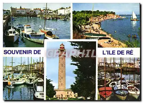 Cartes postales moderne Souvenir de l'Ire de Re