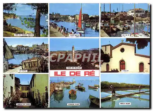 Cartes postales moderne Ile de Re