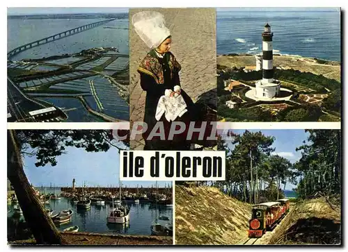 Cartes postales moderne Ile d'Oleron