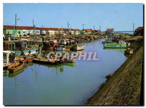 Cartes postales moderne Ile d'Oleron Saint Trojan Le Port