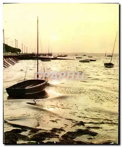 Cartes postales moderne Bassin d'Arcachon Archachon a maree haute