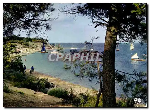 Cartes postales moderne Ile de Re Charente Maritime Les Portes Le Fier Anse de Trousse Chemise