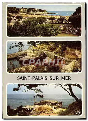 Cartes postales moderne Saint Palais sur Mer