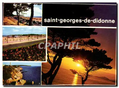 Cartes postales moderne Saint Georges de Didonne