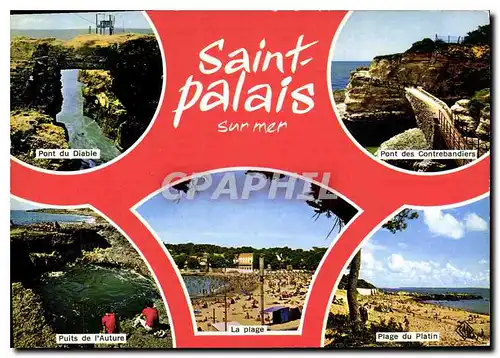 Cartes postales moderne Saint Palais Sur Mer